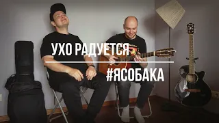 УХО РАДУЕТСЯ - #ЯСОБАКА (acoustic version)