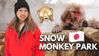 Snow Monkey Park In Japan 🐵 | Traditional Japanese Ryokan | Private Onsen Tour