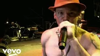 Calle 13 - Fiesta De Locos (En Vivo Desde Buenos Aires) (Video)