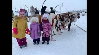 Гонки на северных Оленях | В гостях у Хантов | Влог с Севера.