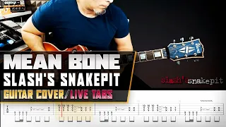 Mean Bone | Slash's Snakepit | guitar cover with solo + live tabs