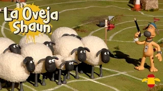 Carrera de obstáculos - Las Champiosheeps - La Oveja Shaun