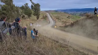 Otago Rally 2021 Kuri bush.