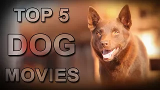 Top 5 Dog Movies That  Will Make You Cry