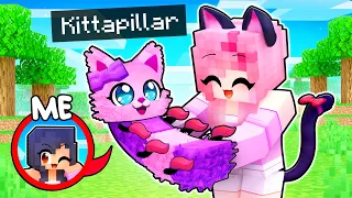 Playing as PJ KITTAPILLAR In Minecraft!