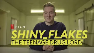 Shiny Flakes. The Teenage Drug Lord Review: Inspiration for How To Sell Drugs Online (fast)