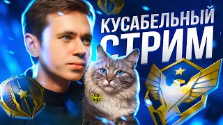 СТРИМ APEX 💧 ЕДЕМ НА ЛАН💧