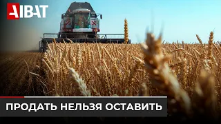 Квоты на экспорт зерна продлят до сентября