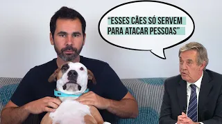 Há raças de cães muito perigosas