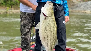 Summer Spillway fishing for Stripers (surprise PB catch)