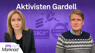 Gardell varnar för tre sektorer inför 2023 | EFN Marknad 16 december