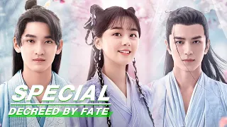 Special: Happy Moment For Rong'er And Her Two Men [Part Two] | Decreed by Fate | 千金难逃 | iQiyi