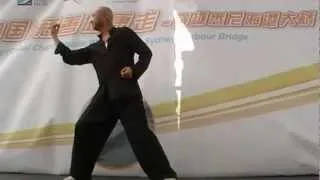 Wang Yunkuo Tai Chi .wmv