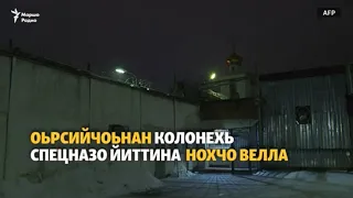 Колонехь йиттинчул тIаьхьа кхелхина Нохчийчуьра вахархо