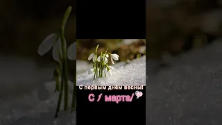 С первым днём весны / с первым марта! видео открытка и музыкальное поздравление