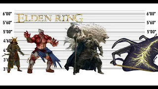 Best Elden Ring Bosses Elden Ring - Size Comparison |The Biggest Characters of Best Elden Ring