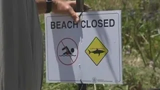 Shark attack: Teenage surfer dies after legs bitten off by shark