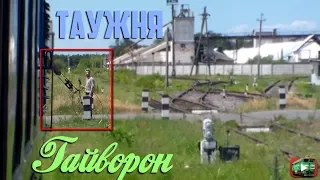 Прибытие в Гайворон. Таужня. Путешествие по гайворонской узкоколейке.