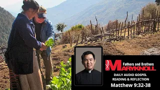 Matthew 9:32-38, Daily Gospel Reading and Reflections | Maryknoll Fathers and Brothers