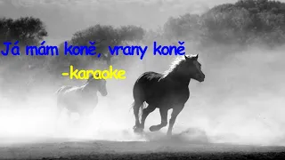 Já mám koně, vrany koně - karaoke