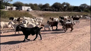 LOS PUEBLOS DE Santiago del Estero 🌎 Otumpa, Aerolito, Alhuampa, Miraval, Haase y Tintina