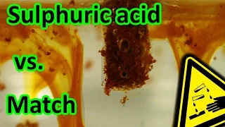 🔥 Sulphuric acid vs. Match reaction ☠️ | AcidTube-Chemical reactions⚗️