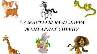 Жануарлар әлемі. 1-3 жастағы балаларға жануарлармен танысу. Жануар. Үй жануарлары