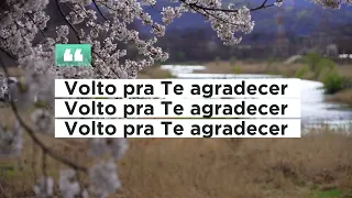 Volto Pra Te Agradecer - Acústico Novo Tempo - LEGENDADO