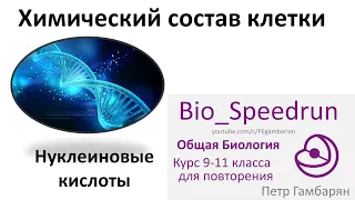 3. Нуклеиновые кислоты (Speedrun общая биология 9-11 класс, ЕГЭ, ОГЭ 2021)