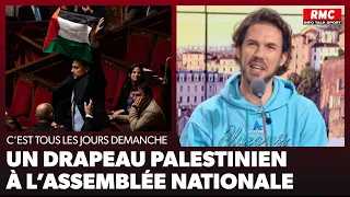 Arnaud Demanche: Un drapeau palestinien à l'Assemblée nationale