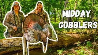 MIDDAY GOBBLER (how to rebound from MISSING turkeys)