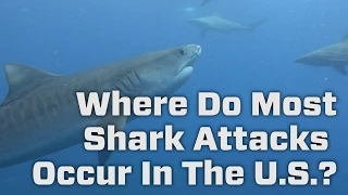 Where Do Most Shark Attacks Occur In The U.S.?