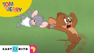 Tom and Jerry: Eternal Chase | Cartoonito Africa