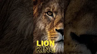 The Untold Story Behind Lion King's Simba #respect #lion
