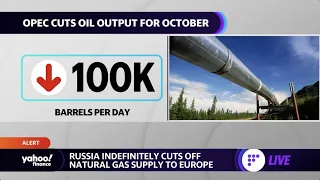 EU energy crisis worsens as Russia indefinitely cuts natural gas supply