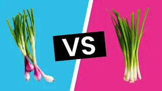 Spring Onion vs. Green Onions - What's the Difference?