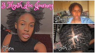 3 Months Visual Loc Journey | 4c hair | Braided to two-strand twist locs | 2022
