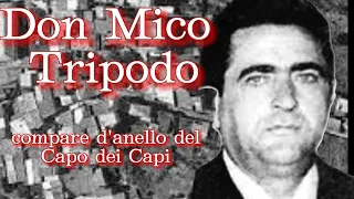 Mico Tripodo potente Capobastone della vecchia Ndrangheta