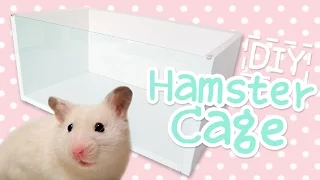 DIY Ikea Linnmon Hamster Cage 🐹 877 sq ins for the same price as a pet store cage!