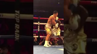 Teofimo Lopez Ringside Knockout for the IBF World Title