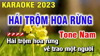 Hái Trộm Hoa Rừng Karaoke Tone Nam Nhạc Sống 2023 | Nguyễn Duy