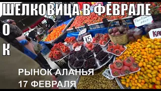 АЛАНЬЯ РЫНОК 17 ФЕВРАЛЯ ЦЕНЫ ПОСТЕПЕННО СТАНОВЯТСЯ АДЕКВАТНЫМИ