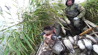 В дикие места на болотоходе за уткой. Постреляли от души.