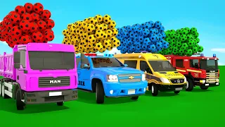Bingo Song + The Wheels on The Bus Song, Baby cars and soccer balls-Baby Nursery Rhymes & Kids Songs