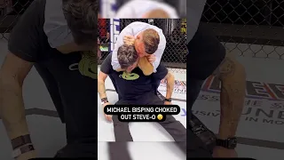 Michael Bisping choked out Steve-O...Wait til he wakes up 😅 #shorts