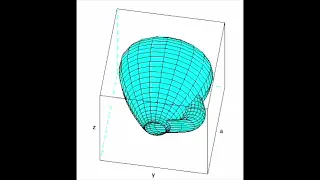 Klein bottle 4D rotation