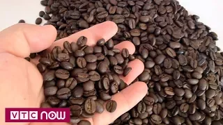 Cà phê "bẩn": Chất lượng cà phê Việt Nam ở đâu? | VTC Now