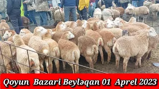 QOYUN BAZARİ BEYLƏQAN 01 APREL 2023 YENİ VİDEO #qoyun#bazari#beyləqan#qulu #beyleqanlı