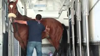 John Parker International Horse Transport New Volvo FH