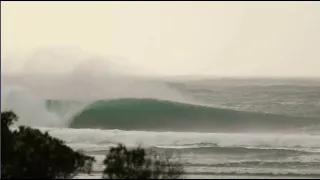 Speights - New Zealand surf